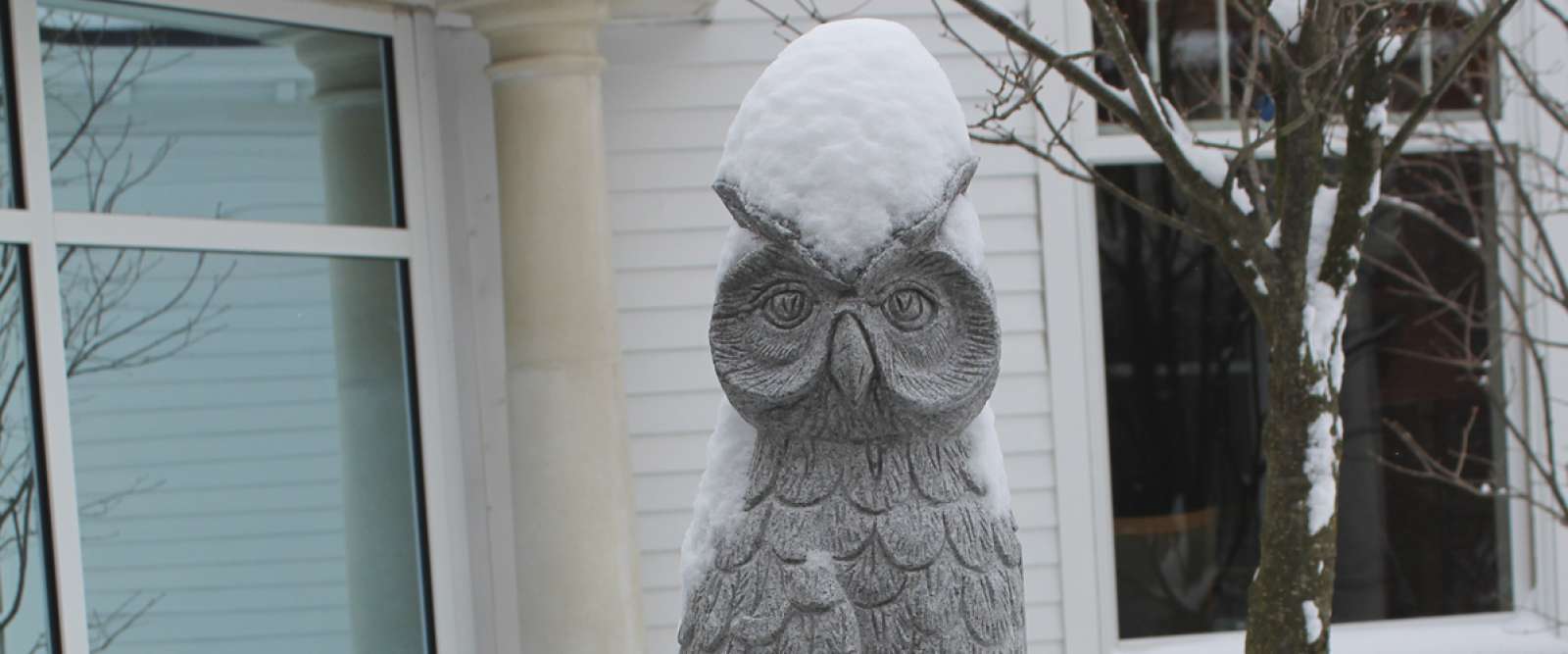 Alumni Owl