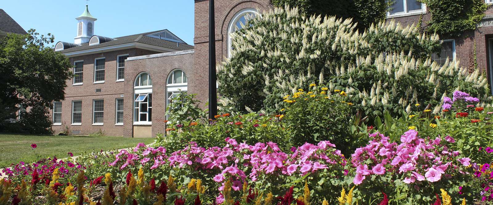 Morrison Hall in spring