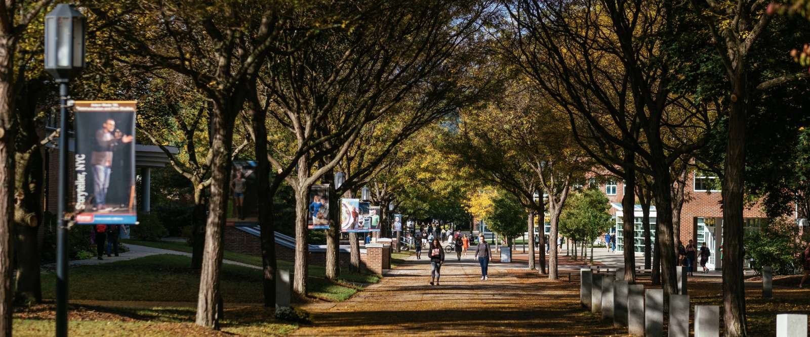 Appian Way, fall